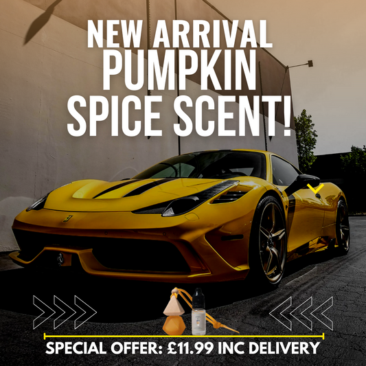 Pumpkin Spice Scented Car Air Freshener